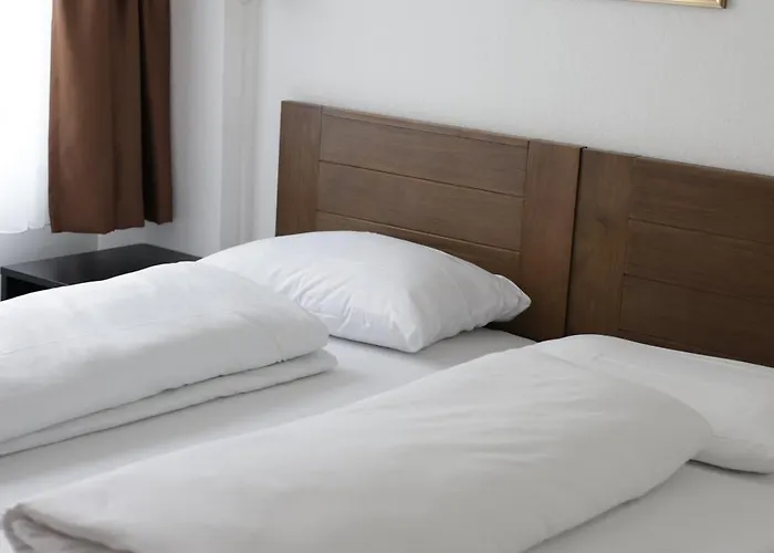 Alpha 美因河畔法兰克福